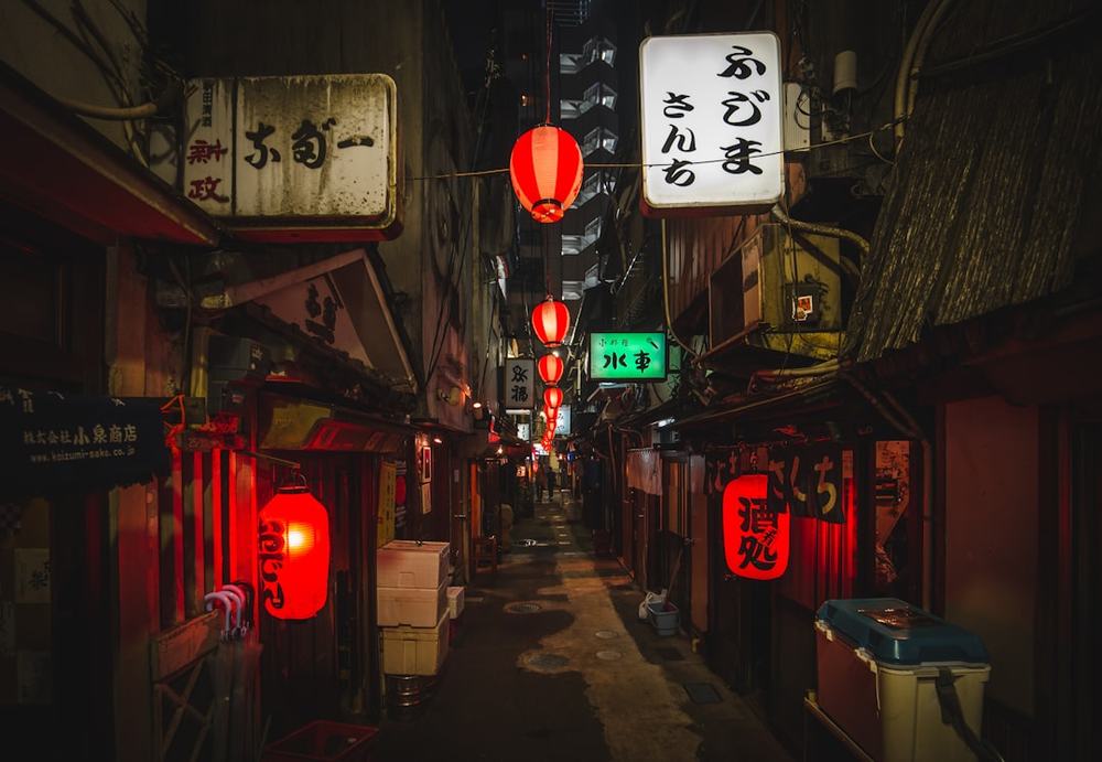 Japón para principiantes