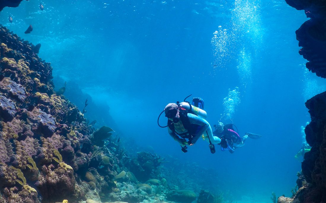 Buceo en Roatán